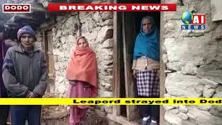 Leapord strayed into Doda village, Kill 10 sheeps