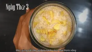 How to Make Ginger Bug - The Foundation for Fermented & Healthy Drinks