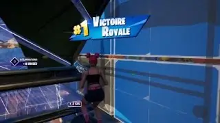 Top1 avec amn-946 et flyce rayzon