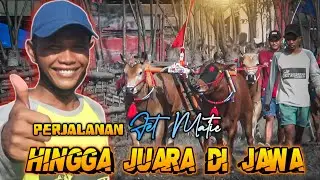Perjalanan Team JETMATIC Hingga Meraih Juara 1 Di Jawa
