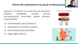 Seminario | Efecto del colesterol en la presión y el flujo sanguíneos
