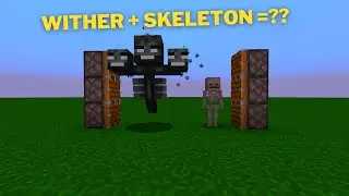 Minecraft, wither + skeleton =??