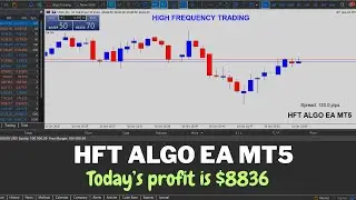 HFT Algo EA MT5 | Live Forex Trading | Todays Profit Is $8836 | High Frequency Trading