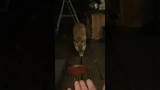 Cute friendly urban fox 🦊 cub eating out of her hand.