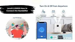 How to Connect the Humidifier | Levoit LV600S  | QuestBest-Review