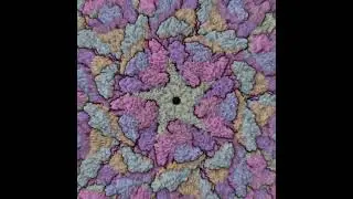 VIRAL TEXTURES II: VENEZUELAN EQUINE ENCEPHALITIS VIRUS | Audiovisual BioArt by Dulbecco & GNKCRDS