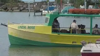 Jumbo Perch Fishing on Lake Erie
