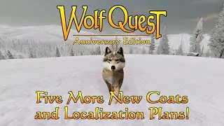 Five More New Coats and Localization Plans!