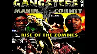 Gangsters of Marin County Rise of the Zombies story board