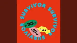 Survivor (Johannes Albert Remix)