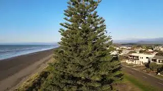 Ohope beach weekend 2022