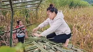 Single Mother Builds a Beautiful Bamboo House Alone by the Lake | Real Village Life