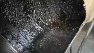Professional kitchen duct cleaning service