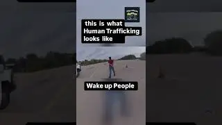 Busted! 🚨 Shocking Human Smuggling Arrest Caught on Camera! 🚔