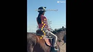Would I let you ride Penelope #horse #equestrian