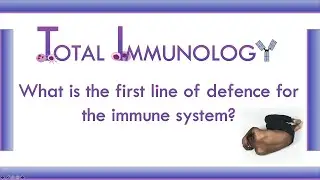 What is the first line of defence for the immune system  ?