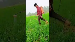 Youtube #dailyvideo #vlogshort#video shorts#vlog