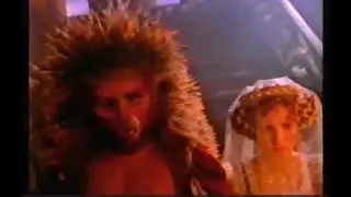 Storyteller HANS THE HEDGEHOG
