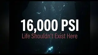 16,000 PSI: The Alien Life Found Where Bones Dissolve (Mariana Trench Secrets)