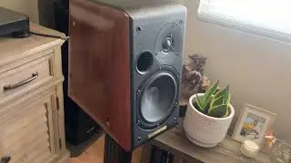 Sonus Faber concerto home-Cary audio SLA signature-Cary audio SLP90
