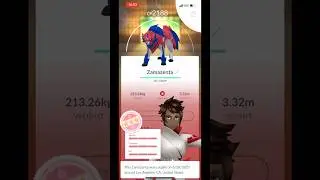 #hundo #zamazenta from today! 💯 #pokemongo #gaming #legendarypokemon #galar #perfectiv