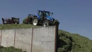 Silage - the Pitwork with THREE wagons unloading