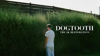 Dogtooth | Trailer | Ritual