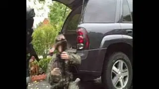 SWAT 