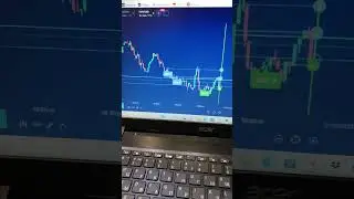 Плюс в один пункт #defi #crypto #forex #binarium #binaryoptions #eurusd