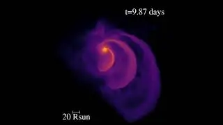 Wayward star meets black hole