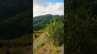 #Managoo#shorts #Shangla Top# Swat
