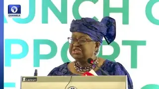 WTO DG, Okonjo-Iweala Launches Standards Trade Development Facility In Abuja