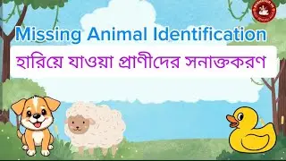 Missing Animal Identification|হারিয়ে যাওয়া প্রাণীদের সনাক্তকরণ |Kids game #kids #kidsgames #bengali 