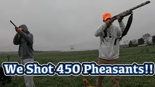 Tower Shoot Pheasant Frenzy