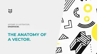Getting Started with Adobe Illustrator: The Anatomy of a Vector.