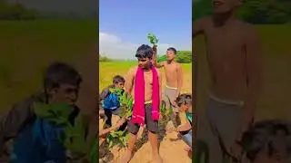 ବାଳୁଙ୍ଗା ଦଳ//chalufun// odia song// masti time//#chalufun #trendingshorts #trendingviralvideos
