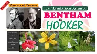 Bentham & Hooker Classification System | Genera Plantarum | Natural Classification System | Detailed