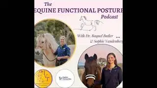 Episode 58: The Stifle
