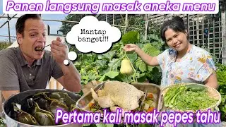 PANEN LANGSUNG MASAK ANEKA MENU ||  PERTAMA KALI MASAK PEPES TAHU