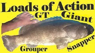 Loads of Action   Goa Fishing