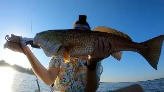 Massive redfish in summer heat wave (Brunswick GA)