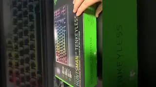 ASMR: Razer Huntsman  v2 TKL (clicking, lighting, synapse) #asmr #relaxing #shorts