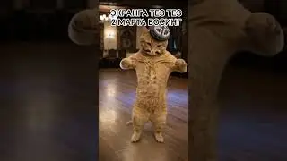 мана буни аник КУРМАСАНГИЗ бумайди #shortsfeed #duet #rek #rekkkkkk #funny