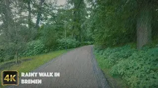 Most Beautiful Rainy Walk in Bremen- Germany  | Stadtgraben