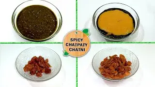 Khatti Meethi Chatni | chutney for fish fry | Spicy Chatpaty Chatni | Commercial Chutney Recipe