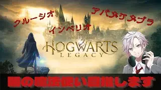 【スマホ用縦型/DAY9】なんか学費タダらしいので魔法学校に入学してみた【HOGWARTS LEGACY】