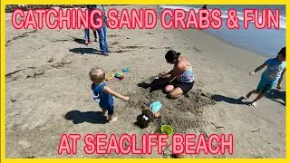 Kids Catching Sand Crabs at Seacliff Beach | Finishing off our Boondocking Trip