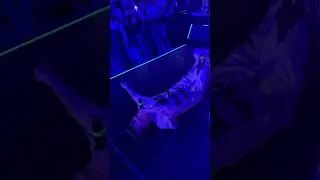 CHAMPAGNE TOUR в самом разгаре! 