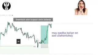 Order block saxda eh wa kuwan kaliya iska ilow wax kale - ict concept somali