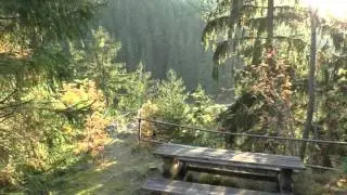 Th&uuml;ringer Wald. Тюрингские леса